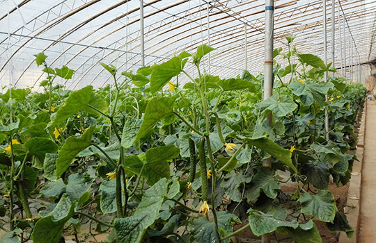 ������k8(����) - �ٷ���վ��һ������