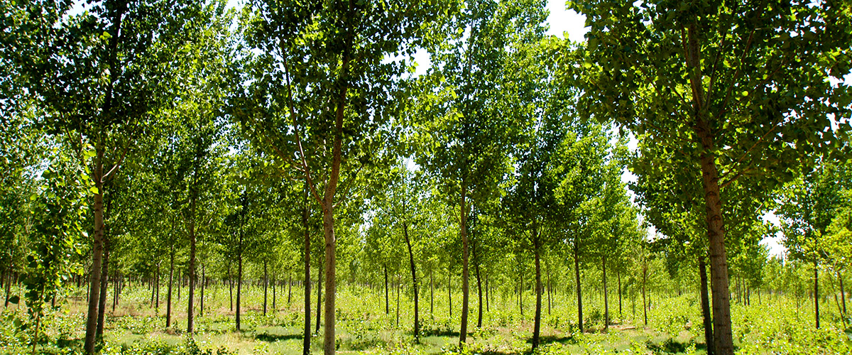 �ӱ�K8���������ʹٷ���վ���ز������������޹�˾