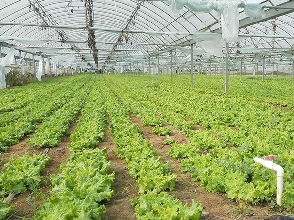 ��Ҫ�߲��䷽ʩ�����գ��ο���