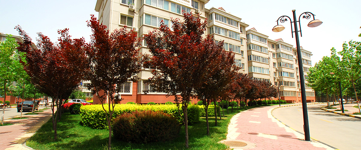 �ӱ�K8���������ʹٷ���վ���ز������������޹�˾